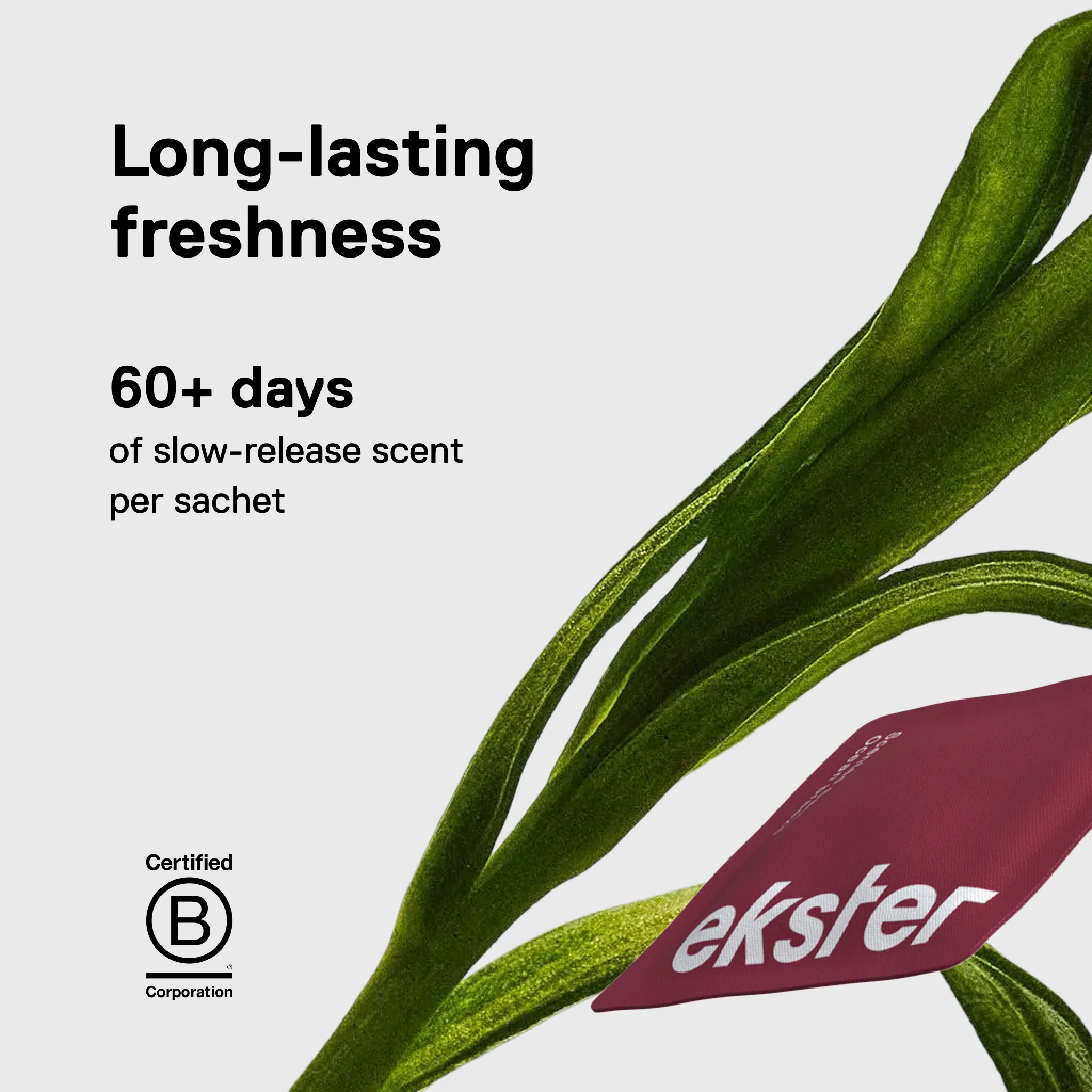 Fresh Essentials Bundle - Image 5